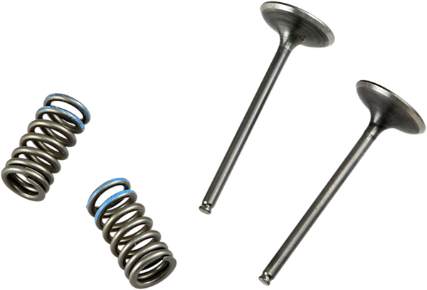 Valve And Spring Kit
