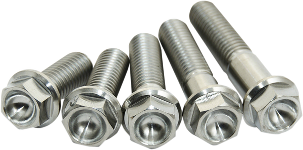 Titanium Screws Unfinished