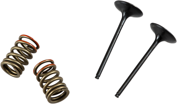 Valve And Spring Kit