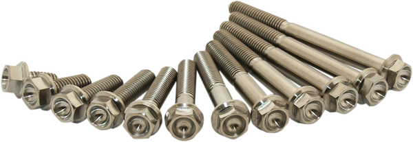 Titanium Screws Unfinished