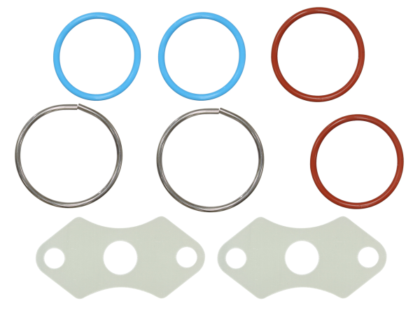 Sno-X Injector seal kit BRP 600/800E-Tec-5ca721d3300850f9dae8edb81c32f245.webp