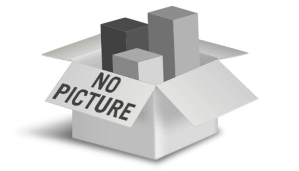 TAPERED ROLLER BEARING CPL. 06-86c886f649b3edd4d946f28a1b2b4197.webp