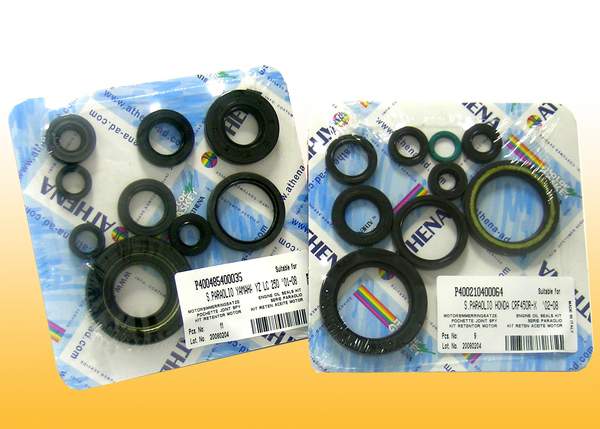 Engine Oil Seal