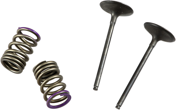 Valve And Spring Kit