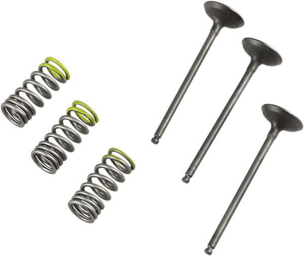Valve And Spring Kit