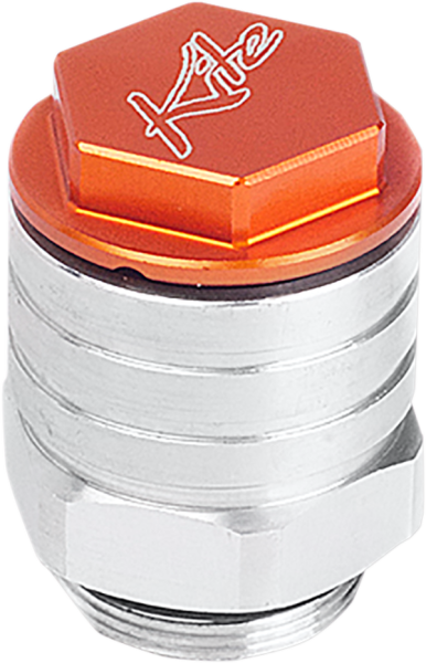 Rear Brake  Oil Tanks Orange, Silver