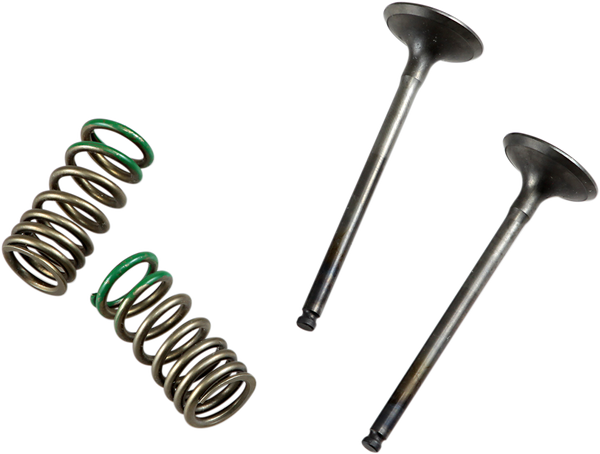 Valve And Spring Kit