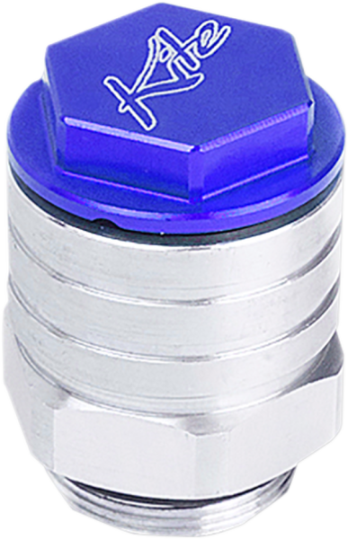 Rear Brake  Oil Tanks Blue, Silver