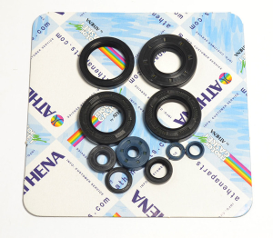 Engine Oil Seal