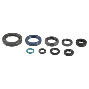 Engine Oil Seal